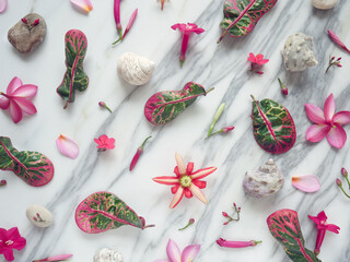 Banner or wallpaper with spa flowers, zen stones, shells isolated on a white marble.