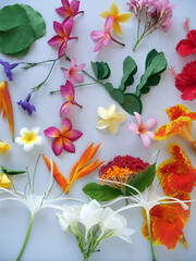 Spa relaxing beautiful tropical flowers for wallpaper or texture © Roberto