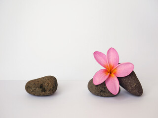Asians flowers with river stone isolated on white background
