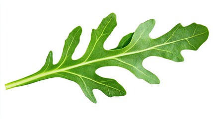   A high-resolution image of a green leaf on a white background featuring a cleanly cut clipping mask centered on the leaf