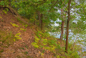 Educational and recreational path around the reservoir in Wilcza Wola, Poland, Europe