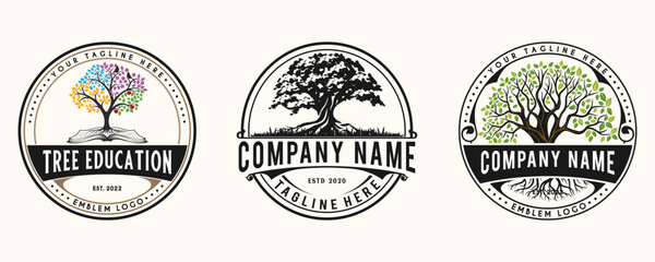 set Oak Tree Leaf Root Family Tree Oak Banyan Maple Stamp Emblem Label vintage style logo design vector