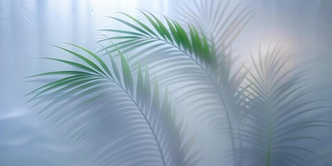 Green palm with reeded glass. Plant leaves. White Reeded Glass. Beautiful tree decor on blurred template. Abstract background with refreshing gradient for spa style design. Ribbed Background.
