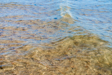 The background is clear water. Water with a yellow tint. The bottom of a body of water through the water.