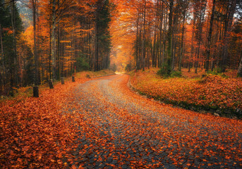 Fallen leaves covering a winding cobblestone road in forest in golden autumn. Empty mountain road, trees with red and orange foliage in rain. Colorful landscape with wet road in woods in fall