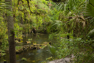 Hillsboro River State Park Tampa Florida landscape water flowing.Class II Rapids on the Hillsborough River. The scenic Hillsborough River winds through a subtropical landscape, Hillsborough River