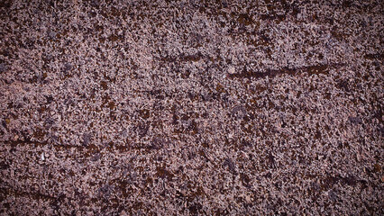 A pink-toned grainy stone texture background, ideal for natural-inspired designs, wallpapers, and creative digital backdrops