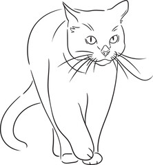 a vector image of a cat made with thin lines. The minimalistic style makes it ideal for use in logos, packaging design or on websites. An easy and modern approach to the image of a cat without three-d