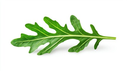   Close-up of green leaf on white background with self-reflection