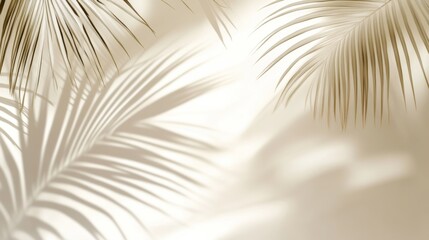 Obraz premium Soft and Dreamy Minimalist Background with Palm Leaf Shadows, Muted Tones and Subtle Tonal Values. Ideal for Elegant and Serene Designs.