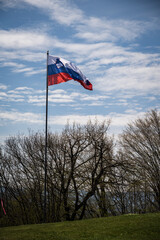 Waving Slovenian red, blue, white flag in wind on pole.