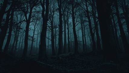 Obraz premium dark forest minimalist illustration eerie scary background