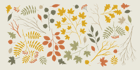 Obraz premium Autumn nature elements. Graphic background with fall leaves and branches. Hand drawn illustration of maple, oak and rowan.