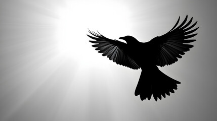 Obraz premium Simple silhouette of a bird flying in the sky.