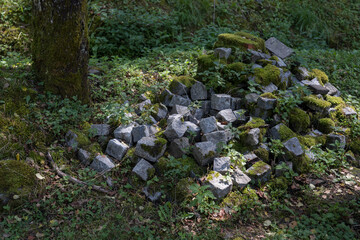 A pile of cobblestones overgrown with moss.
