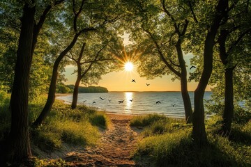 sunny beach with birds and trees