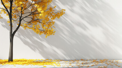 Autumn composition with free space in the frame. Maple tree with yellowed leaves against a white wall.