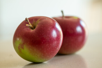Two red apples freshly harvested during the month of september