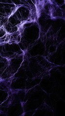 Obraz premium Purple Spider Web on Black Background, Abstract Image, Texture, Pattern Background, Wallpaper, Cover and Screen for Smartphone, PC, Laptop, 9:16 and 16:9 Format