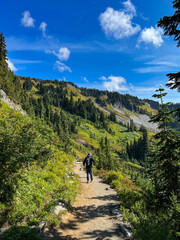 Fototapeta premium Man hiking down Mount Rainier mountain trail