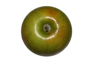 isolated apple. apple top view. apple details.