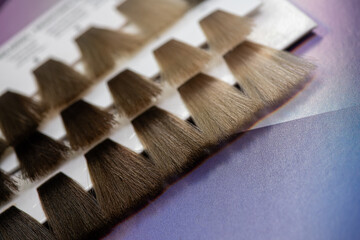 Set of hair samples with different natural color shade.  Close-up of hair color palette with a wide range of color swatches. Hair color samples choice chart for dying hair.  Selective focus.