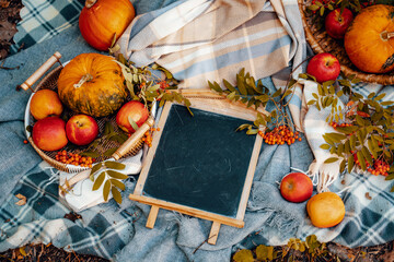 Autumn discounts banner. Autumn still life. Space for your text. Pumpkins, berries and apples in a...