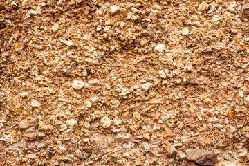 background of leaves