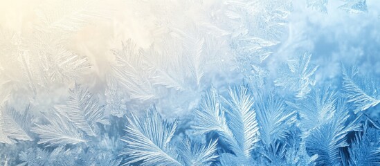 Frosted Ice Patterns On Glass Surface Nature Winter Background