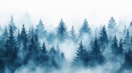 Misty Spruce Forest with Tall Trees Disappearing into Fog