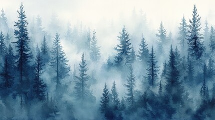 Misty Spruce Forest with Tall Trees Disappearing into Fog