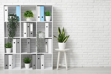 Modern shelving unit with folders and houseplants near white brick wall in office