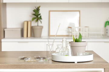 Plant with chemical glassware on table in laboratory