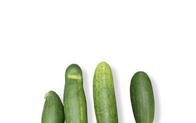 vegetable cucumber group on white background.