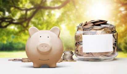Saving money concept, coins in piggy bank on nature background