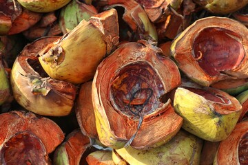view of coconut fiber being dried in the sun. image background