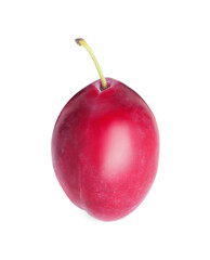 One fresh ripe plum isolated on white