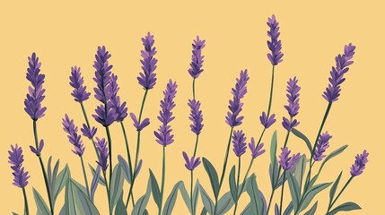 Naklejka premium An illustration of a lavender flower