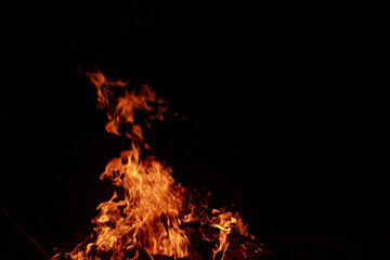 fire in the forest