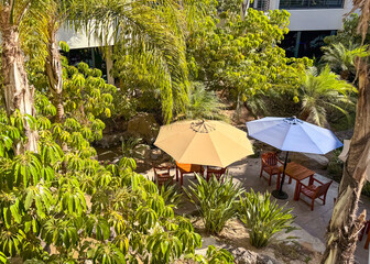 Outdoor Cafe With Colorful Umbrellas And Lush Greenery During Sunny Day.