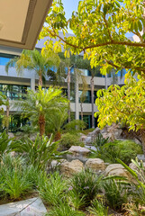 Serene Garden With Lush Greenery And Palm Trees At A Modern Office Complex