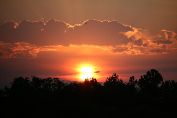 sunset over the trees