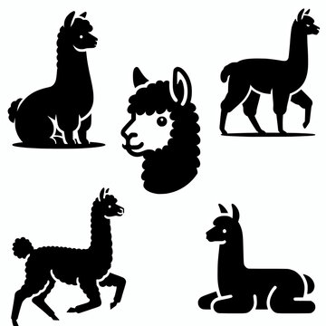 Set of alpaca silhouettes black vector illustration clip art element design 
