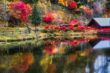 飛騨の山地では秋になると紅葉で渓谷が最も美しくなります