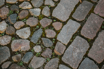 rocky vintage road with different shapes and textures between which sprouts of grass grow