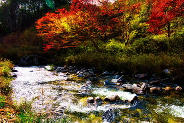 飛騨の山地では秋になると紅葉で渓谷が最も美しくなります