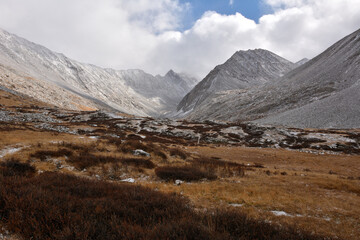 Gentle rocky slopes of the mountain descending into a valley overgrown with red lichens and sprinkled with the first snow on a cloudy autumn morning.