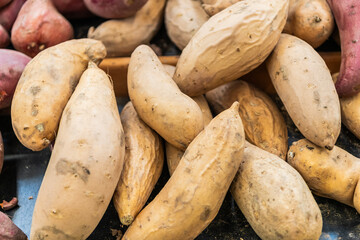Organic food. Harvest and farming. Organic vegetable sweet potato. Background of organic sweet potato. Eco vegetable. Sweet potato background. Green grocery vegetable in food market. Root vegetable