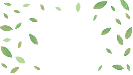  Leaves Fresh Vector White Background Branch. Realistic Leaf Plant. Green Foliage Abstract Wallpaper. Greens Organic,Green flying leaves wave,nature Day