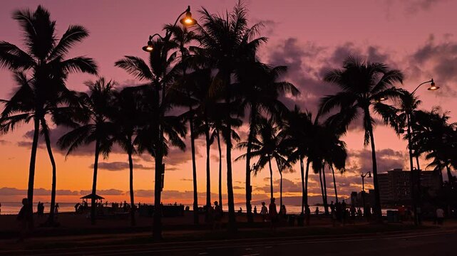 Palm Trees Silhouetted Against Vibrant Waikiki Hawaii Sunset Sky, travel tropica